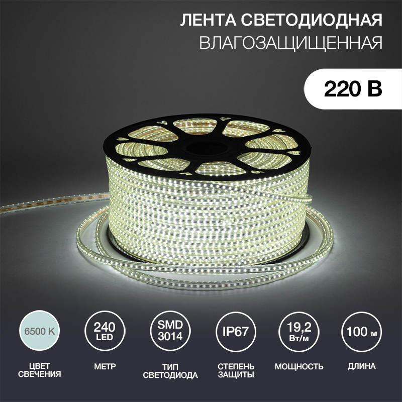 Лента светодиодная 220В, SMD3014, 19,2Вт/м, 240 LED/м, Холодный белый, 6,5х15мм, 100м, с кабелем питания, IP67 NEON-NIGHT
