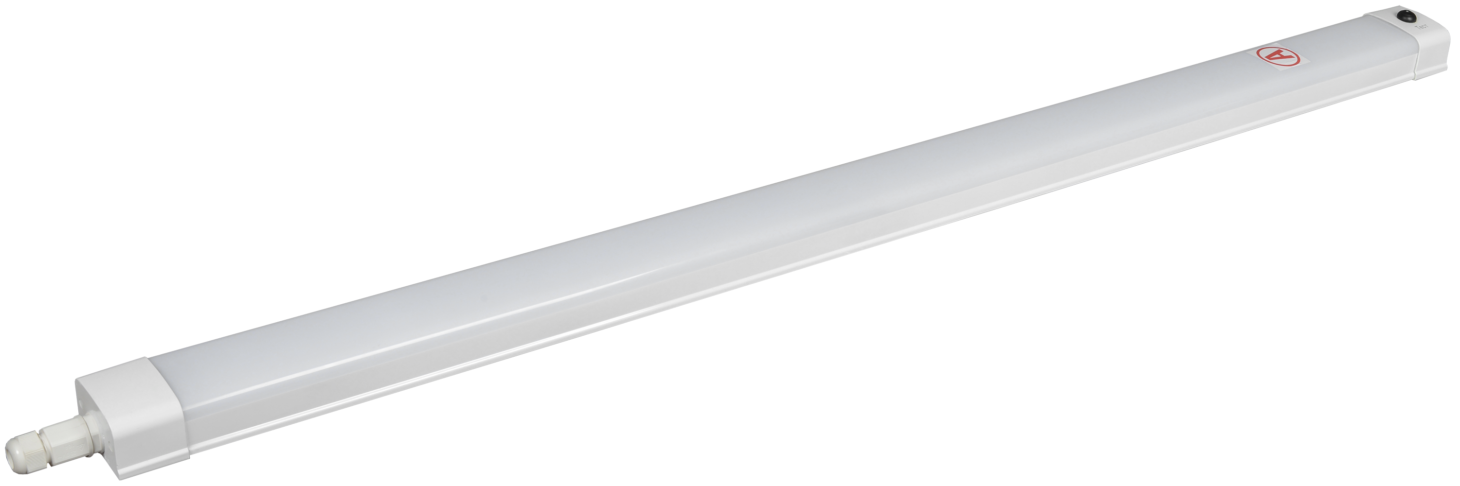 PRO Светильник аварийный ДСП 1336А 36Вт 3ч 6500К IP65 1250мм IEK