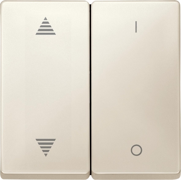 SD,Клавиша для модуля 2 кнопочного выключателя, РИС ВВ/ВН,1/0,БЕЖ