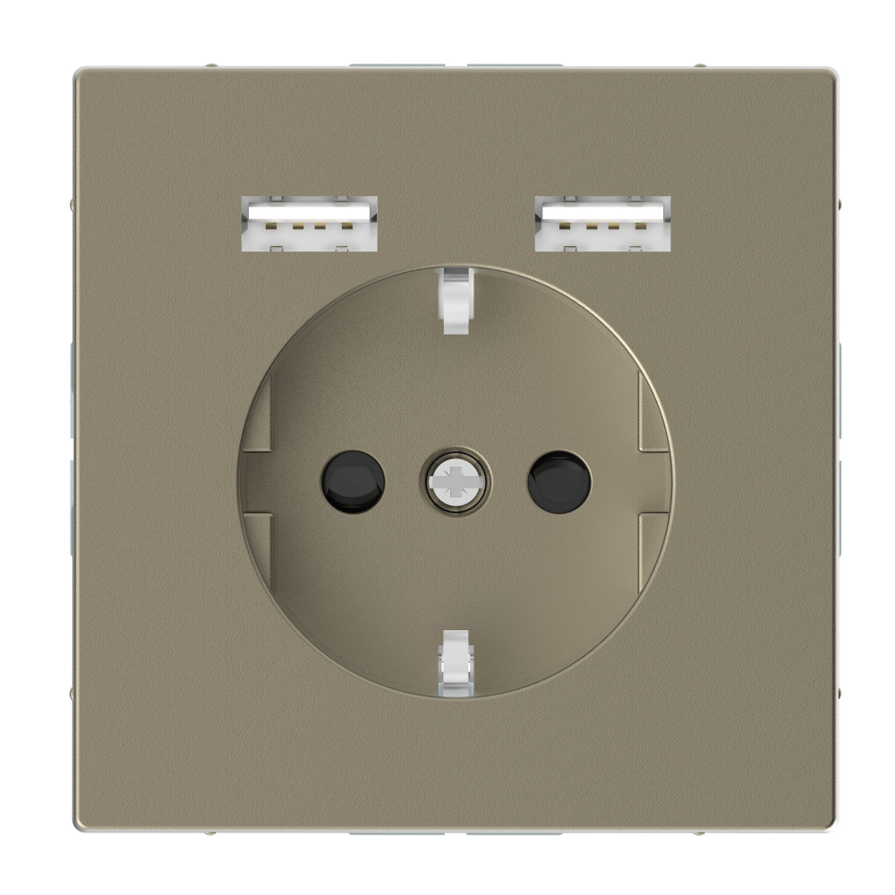 SDL Розетка Schuko с 2 USB 2,4 A сахара