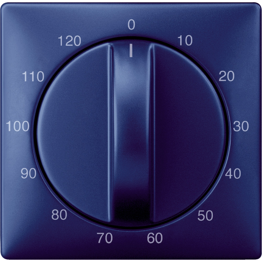 ЦЕНТР. ПЛАТА ТАЙМЕРА, 120 МИН., SYSTEM D