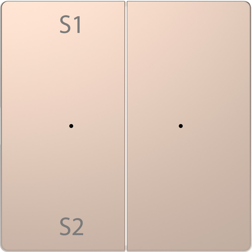 MERTEN D-Life PlusLink КЛАВИША 2-ная с S1/S2, пусто, ШАМПАНЬ, SD