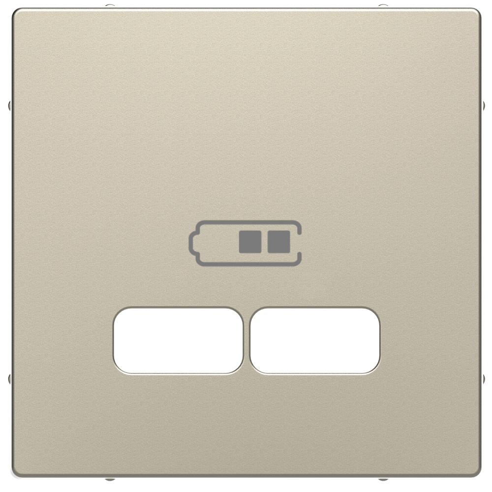 DL, ЦЕНТР. НАКЛАДКА USB 2,1А, САХАРА