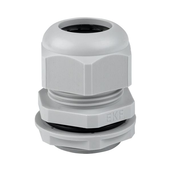 Сальник PG25 IP54 (20 шт) d отв. 31 мм / d провод. 16-21 мм EKF PROxima