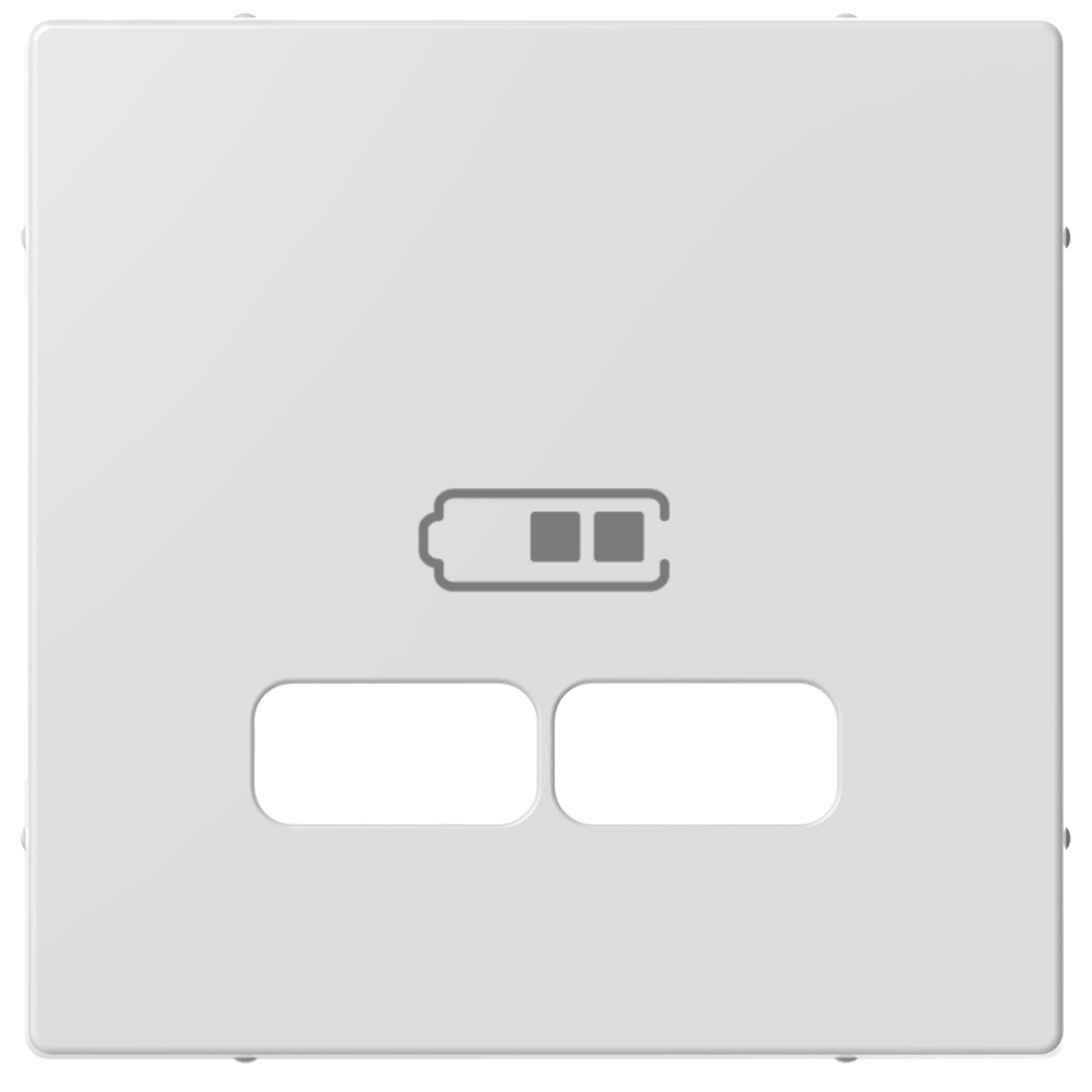 SM, ЦЕНТР. НАКЛАДКА ДЛЯ USB, АКТИВ. БЕЛ