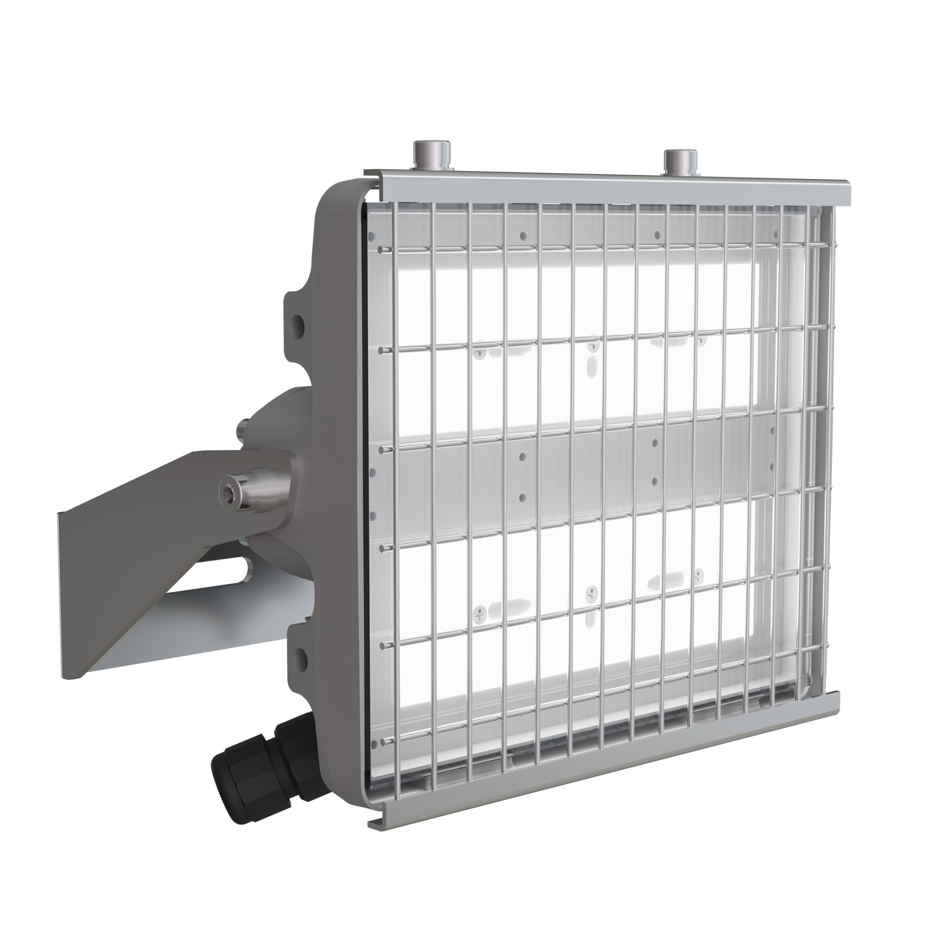 Светильник L-pixel 1 banner/50/Г60/940/R5/05/I2-C1/230AC IP66 # LEDEL