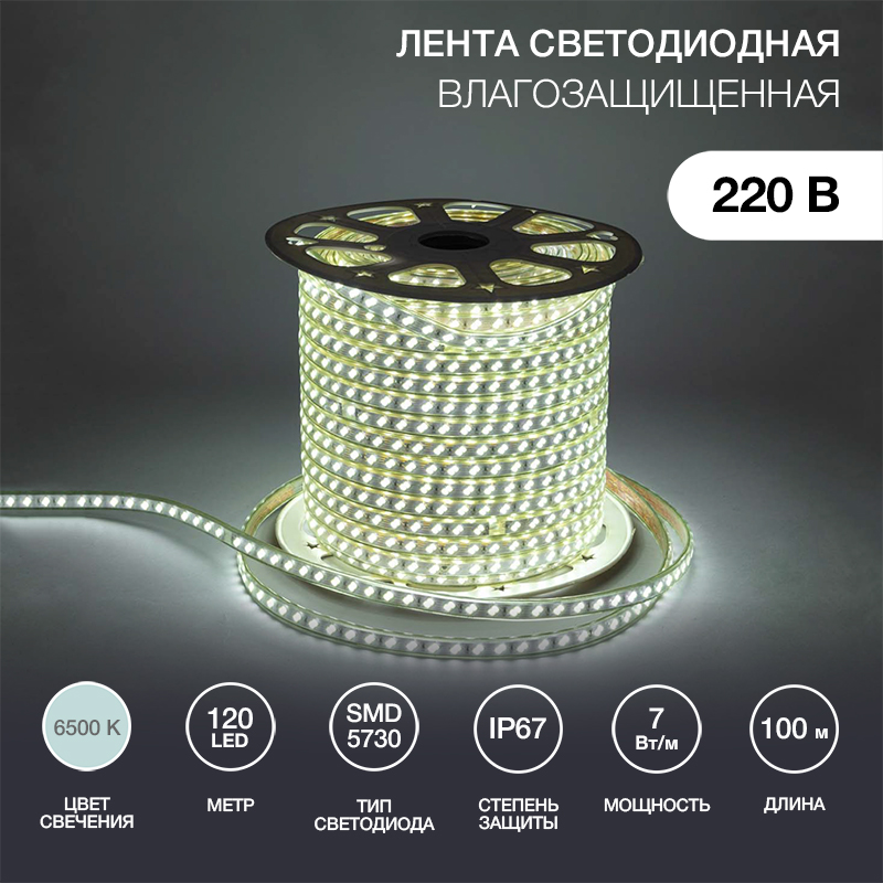 Лента светодиодная 220В, SMD5730, 7Вт/м, 120 LED/м, Холодный белый, 6,5х17мм, 100м, без установочного набора, IP67 NEON-NIGHT
