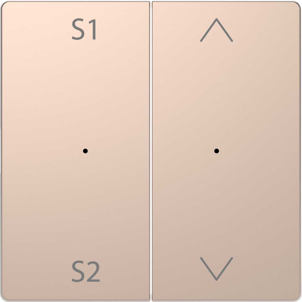 MERTEN D-Life PlusLink КЛАВИША 2-ная с S1/S2, вх/вз, ШАМПАНЬ, SD