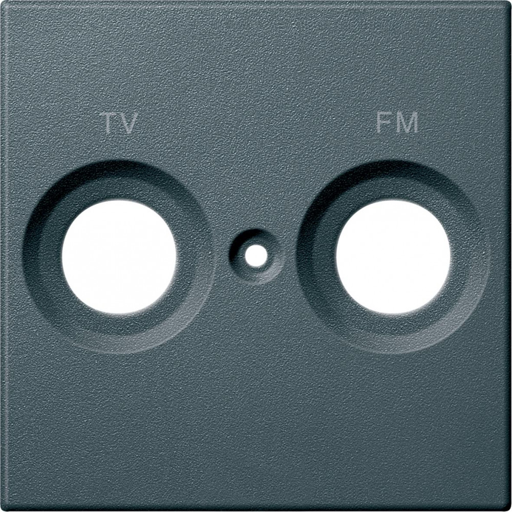 ЦЕНТ.ПЛАТА С МАРКИРОВКОЙ FM И TV АНТР